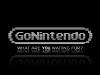 GoNintendo.jpg