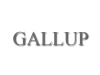 gallup2.png