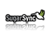 sugarsinc2.png