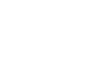 shayne.png