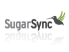 sugarsync_mirror.png