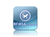 bfmsa2.png