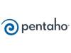 logo.pentaho.jpg