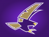 timber_creek_falcons.png