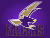 timber_creek_falcons_2.png