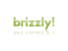 brizzlygr.png