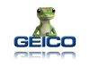 geico02.png