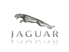 jaguar.png