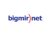 bigmir_v1.png